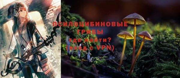 круглые Алзамай