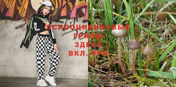 MESCALINE Алексеевка