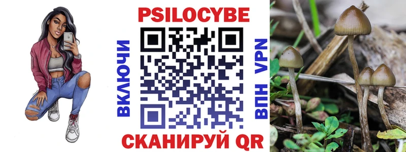 Псилоцибиновые грибы Psilocybe  KRAKEN вход  Большой Камень  где можно купить наркотик 